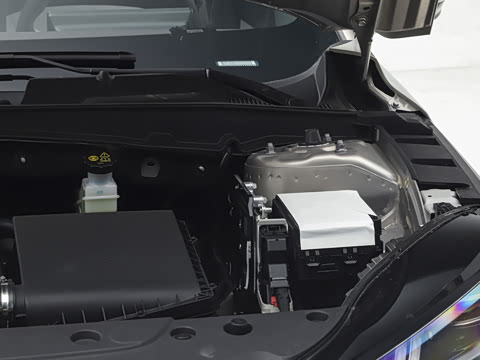 2026�� 1.5L ��϶���