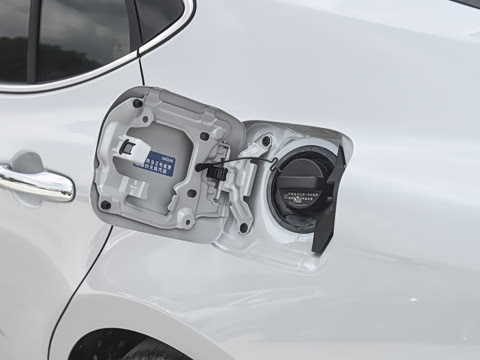 2026��  ˫�� 2.0HG ����