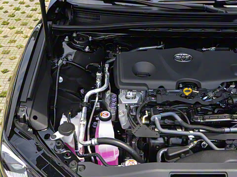 2026�� ˫�� 2.5HXS �˶�Plus��