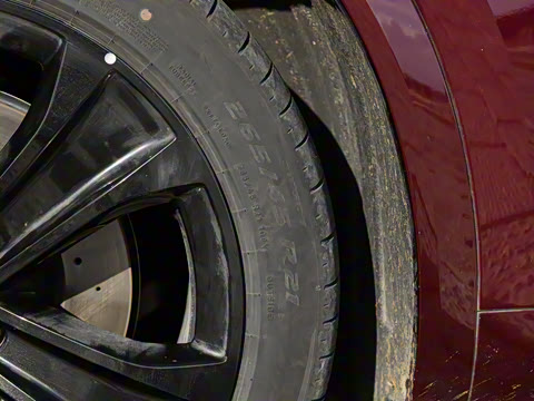 2026�� ���� Pro+������ 6��