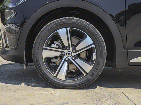 2026�� �鶯��������