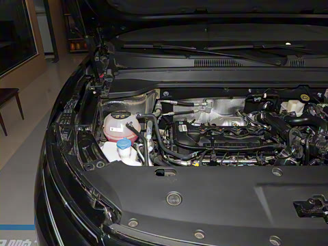 2025�� 1.5T ��ԭ������ 5��