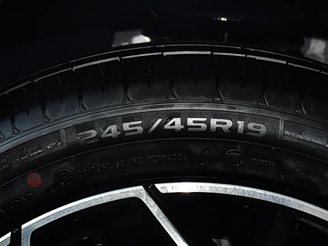 2026�� �����������̰� 310������