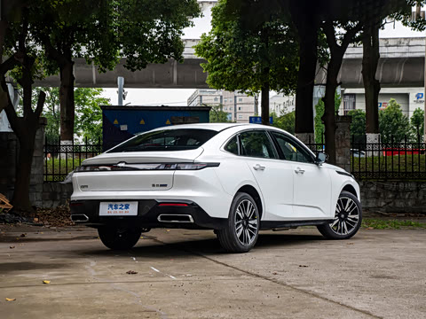 2026�� 1.5L �������� ������