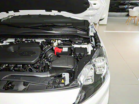 2024�� EcoBoost 245 ����ҫ����