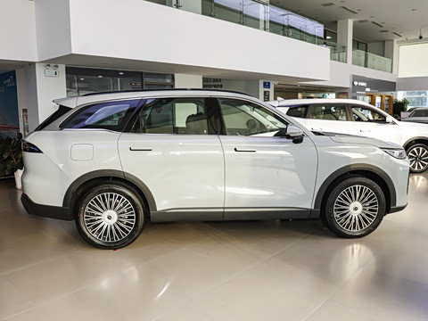 2025�� 120 ���������콢�� 5�� ��Ԫ�