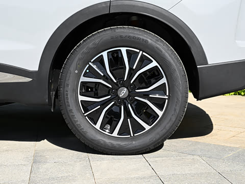 2026�� HEV �����