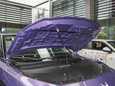 2025�� ����������Pro