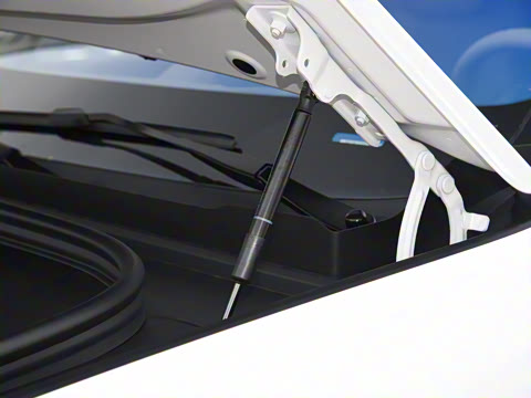 2026�� ���� Max������ 5��