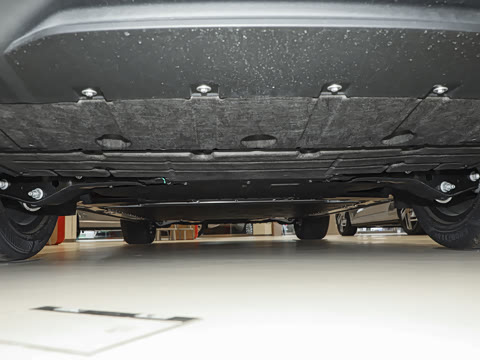 2025�� Pro ������