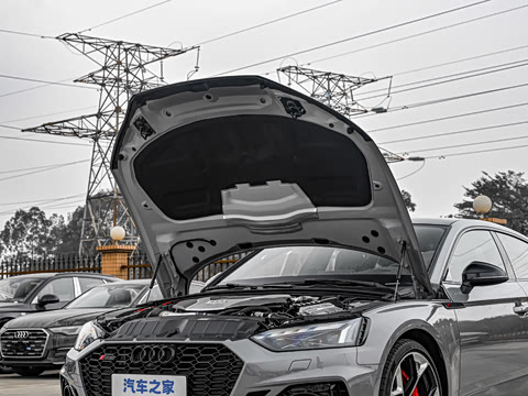 2025�� RS 5 2.9T Sportback ȼ���