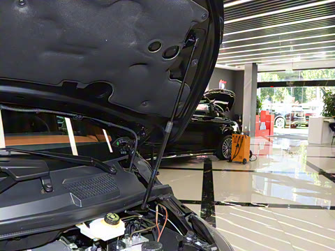 2025�� LS600MX ��������