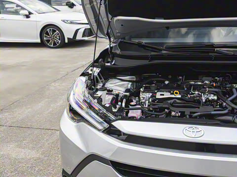 2026�� 2.0L ���ܵ��˫�� ������