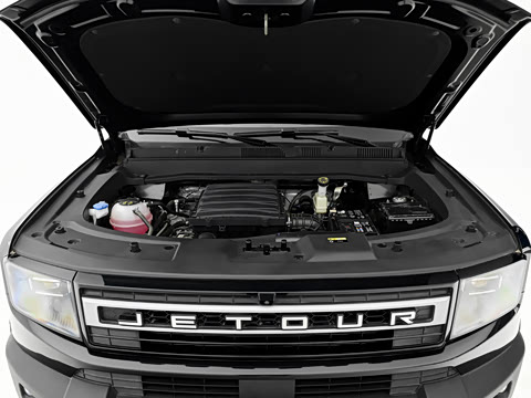 2025�� 2.0TD XWD��Խ