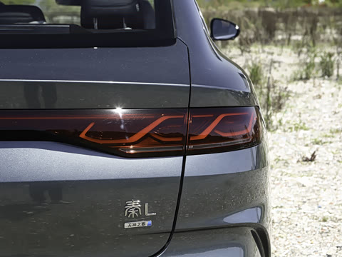 2026�� DM-i 210KM��Խ��