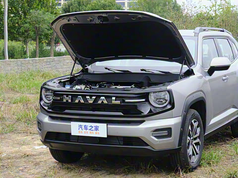 2026�� 1.5T ��Ȥ��