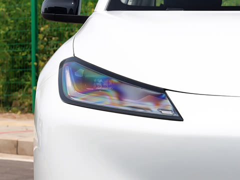 2026�� 501km ���а�