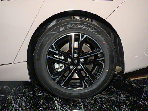 2025�� 560 Lite��