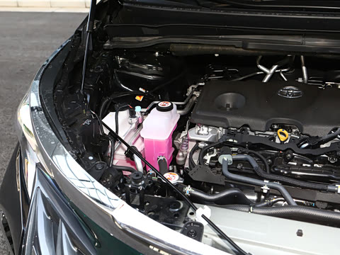 2026�� 2.5L �߶����м�