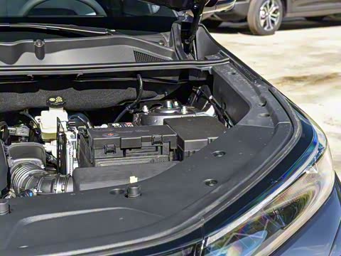 2026�� �ǻ۹ھ��� 1.5T ������ �Ǻ���