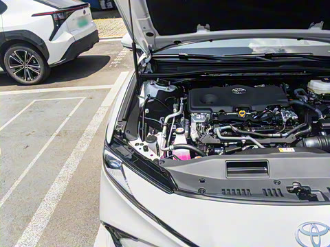 2026�� ˫�� 2.5HXS �˶�Plus��