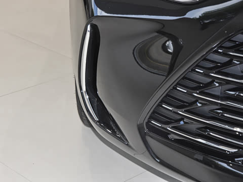 2025�� 25T ������