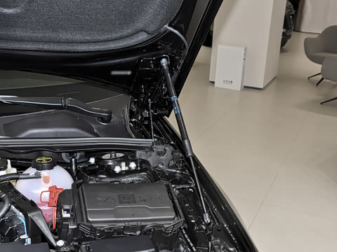 2025�� 25T ������