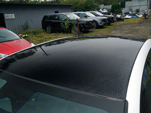 2026�� ����200 Pro�˶���