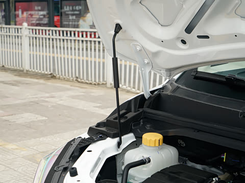 2025�� 2.0L CNG�м�Ӫ�����ʰ� 7��