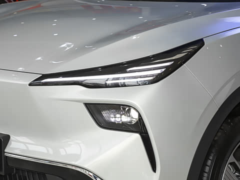 2025�� 565km �����