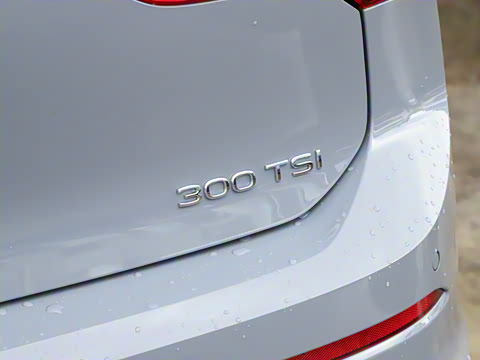 2026�� 300TSI Pro