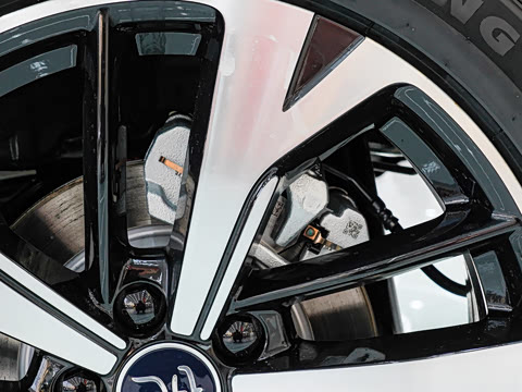 2026�� DM-i 220KM׿Խ��