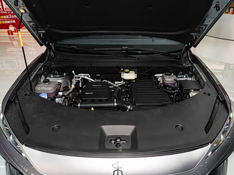 2026�� DM-i 220KM׿Խ��