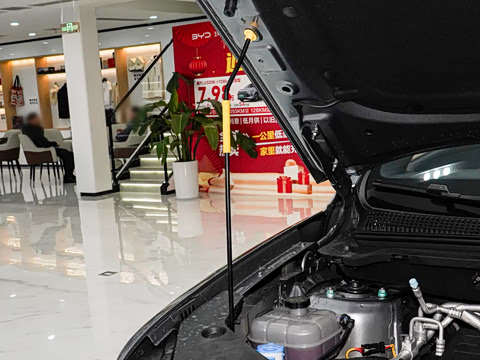 2026�� DM-i 220KM׿Խ��