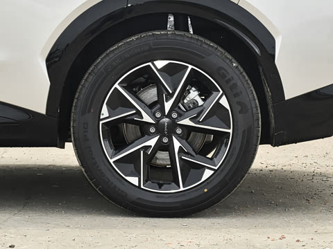 2026�� 230��������Max