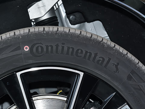 2026�� Max������