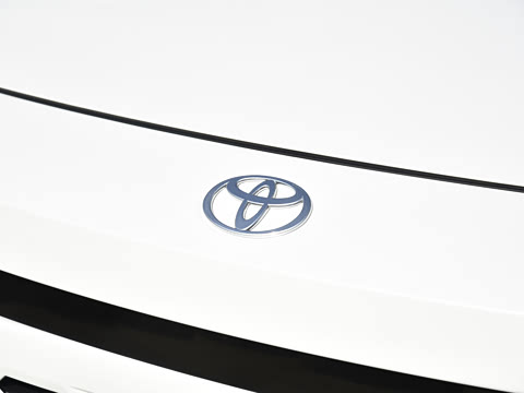 2026�� 2.5L ���ܵ��˫�� ����PRO