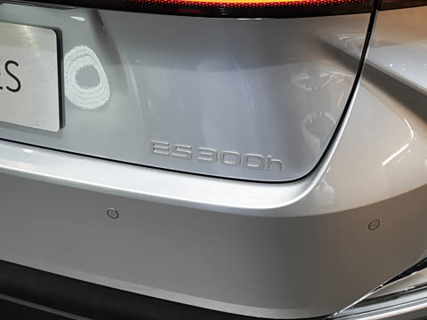 2026�� 300h