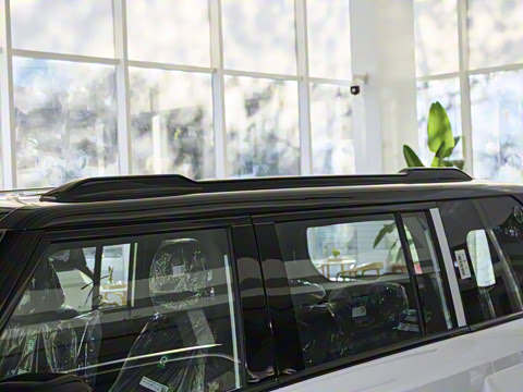 2025�� 520���������