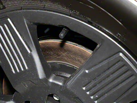 2025�� 520���а�