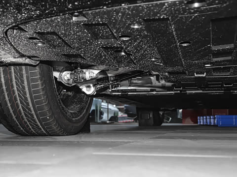 2025�� Elite�����