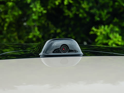2026�� Max+ ������