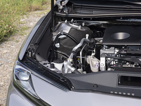 2026�� 2.0GVP ������