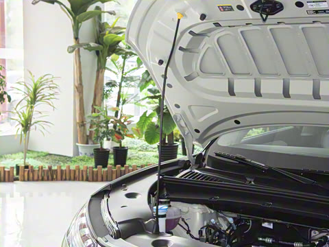 2025�� 301KM �캽��