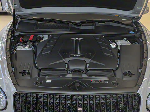 2024�� 4.0T V8 �ŶȰ�