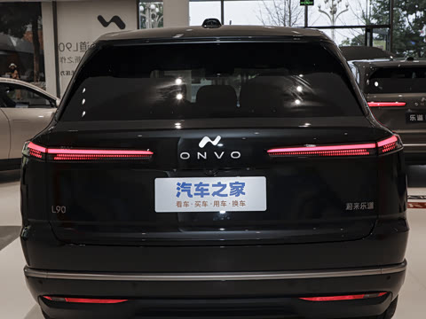 2025�� Pro ������