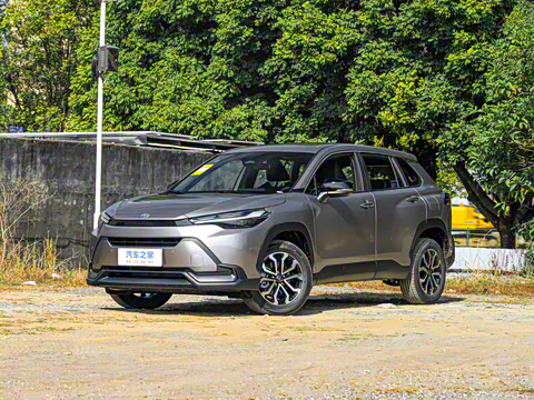 2026�� 2.0L ���ܵ��˫�� ������