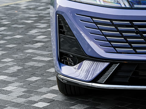 2026�� 1.5L �������� ������