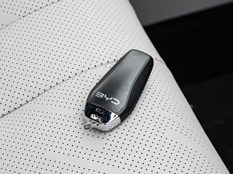 2026�� DM-i 310KM ׿Խ��