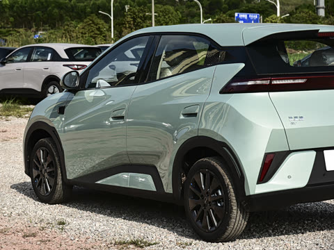 2026�� 305km ���ɰ�